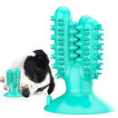 Brinquedo Mordedor Escova de Dentes para Cachorro